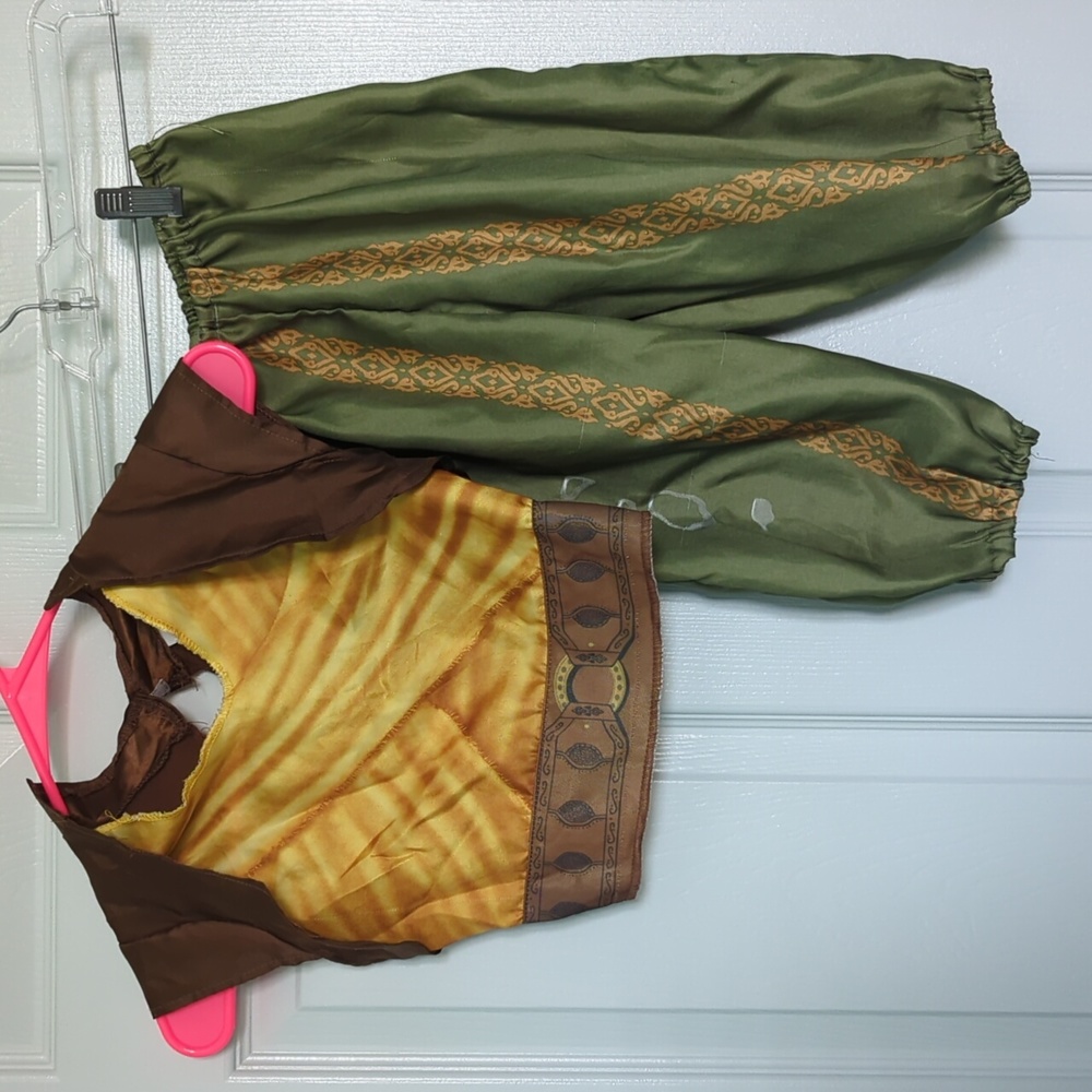 Raya & The Last Dragon Costume
